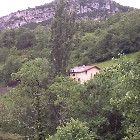 Choranche Studio En Pleine Nature מראה חיצוני תמונה